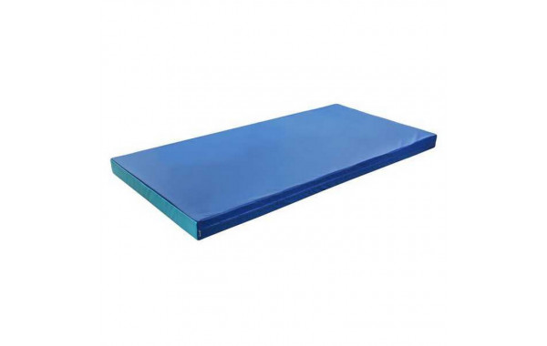Мат гимнастический (1000*2000*100 мм) сине-голубой 600_380