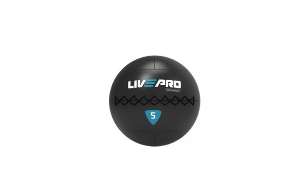 Медбол 2кг Live Pro Wall Ball PRO LP8103-02 600_380