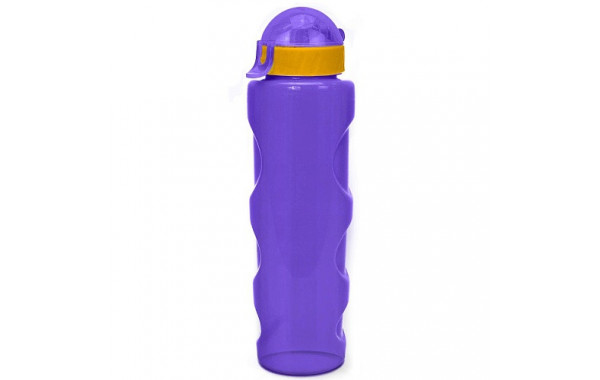 Бутылка для воды LIFESTYLE со шнурком, 700 ml., anatomic, прозрачно/фиолетовый КК0161 600_380