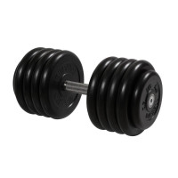 Гантель Профи с вращающейся ручкой, 46 кг MB Barbell MB-FdbM-B46