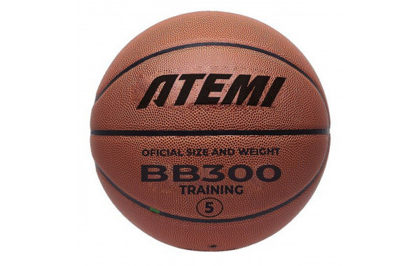 Мяч баскетбольный Atemi BB300N р.5, окруж 68-71 600_380