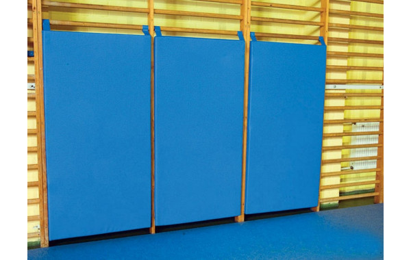 Мат-протектор для стенки гимнастической ФСИ 164х82х6 см, тент 5282 600_380