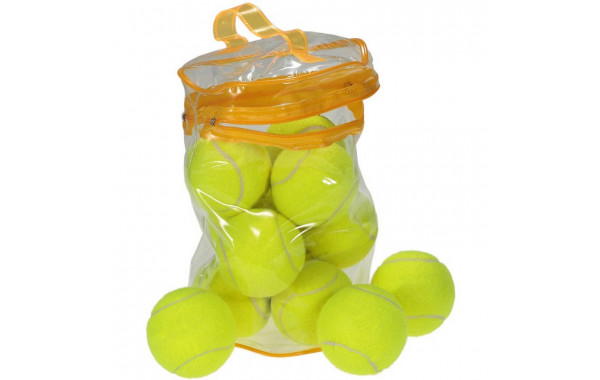 Мячи для большого тенниса Sportex 12 штук (в тубе) C28783 600_380