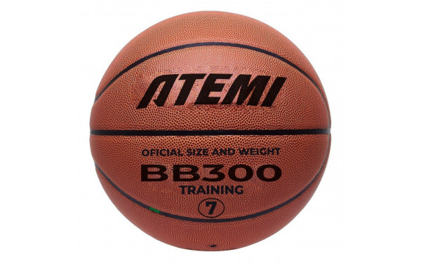 Мяч баскетбольный Atemi BB300N р.7, окруж 75-78 600_380