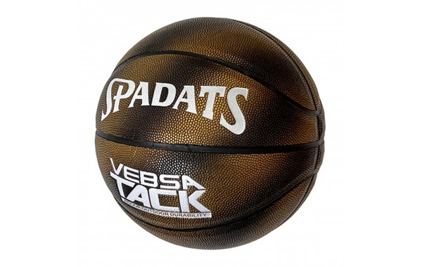 Мяч баскетбольный Sportex E39992 р.7 600_380