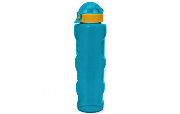 Бутылка для воды LIFESTYLE со шнурком, 700 ml., anatomic, прозрачно/морской зеленый КК0161 600_380