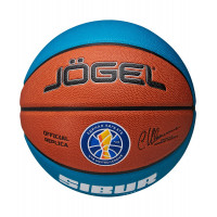 Мяч баскетбольный Jogel Pro Training ECOBALL 2.0 Replica р.7