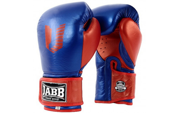 Боксерские перчатки Jabb JE-4069/Eu Fight синий/красный 10oz 600_380