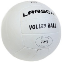 Мяч волейбольный Larsen Top р.5