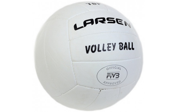 Мяч волейбольный Larsen Top р.5 600_380