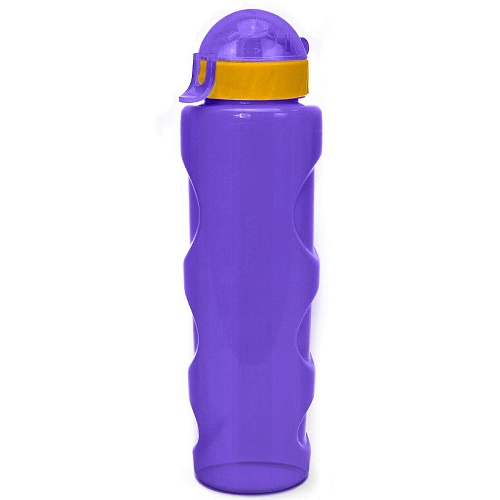 Бутылка для воды LIFESTYLE со шнурком, 700 ml., anatomic, прозрачно/фиолетовый КК0161 500_500