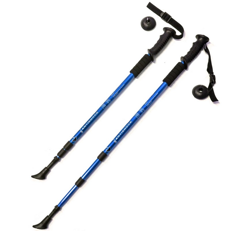 Палки для скандинавской ходьбы телескопическая, 3-х секционная Sportex F18433 синий 800_800