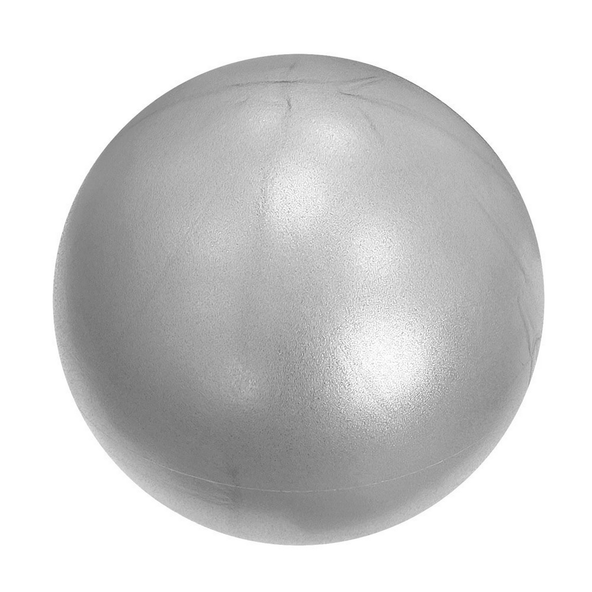 Мяч для пилатеса d20 см Sportex E3913147 серебро 2000_2000