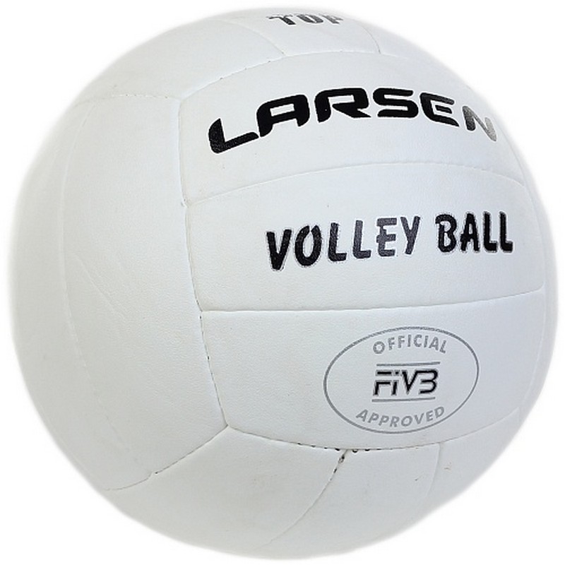 Мяч волейбольный Larsen Top р.5 800_800