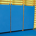 Мат-протектор для стенки гимнастической ФСИ 164х82х6 см, тент 5282 120_120