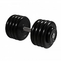 Гантель Профи с вращающейся ручкой, 43,5 кг MB Barbell MB-FdbM-B43,5 120_120