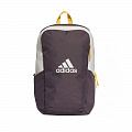 Рюкзак спортивный 45x30x16см Adidas Parkhood Backpack FS0275 Темно-фиолетовый 120_120