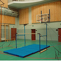 Брусья гимнастические Atlet женские разновысокие (жерди деревянные) IMP-A45 120_120