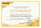Сертификат на товар Мат №1 100x50x10см Kampfer Black винилискожа, черно-желтый